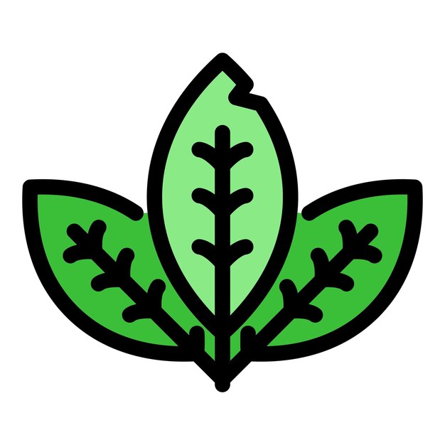 Mint leaf icon Outline mint leaf vector icon color flat isolated