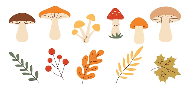 mushrooms1