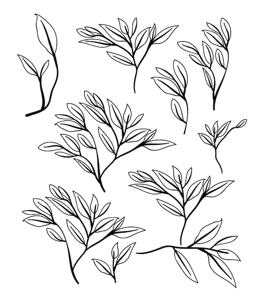 natural branch and leafs pattern background 