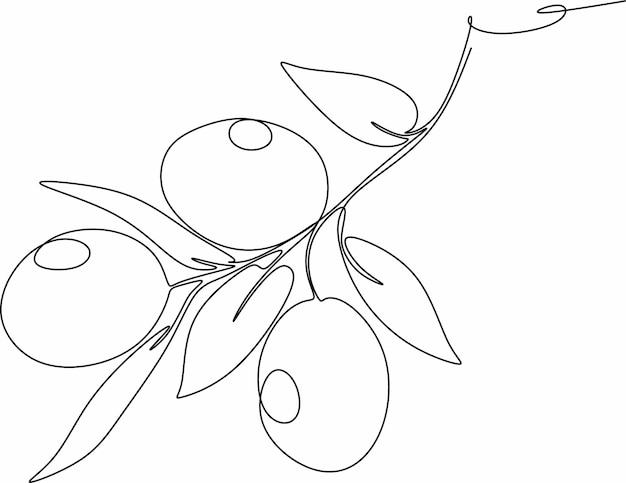 olives in continuous line drawing style vector illustration of a branch