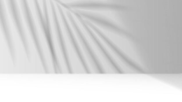 Palm leaves casting shadows on studio wall vector image
