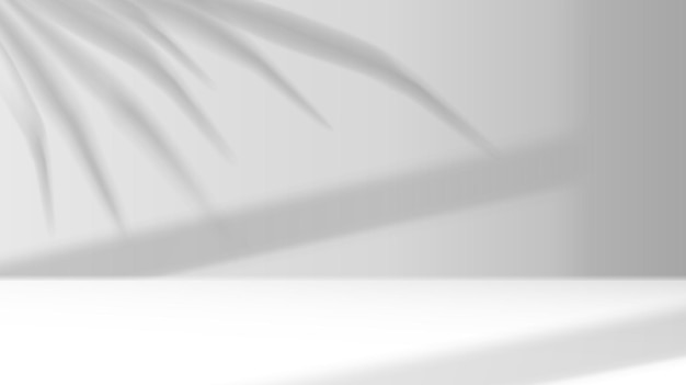 Palm leaves casting shadows on studio wall vector image