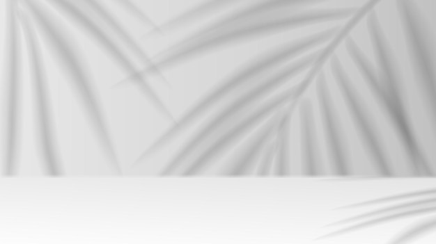 Palm leaves casting shadows on studio wall vector image