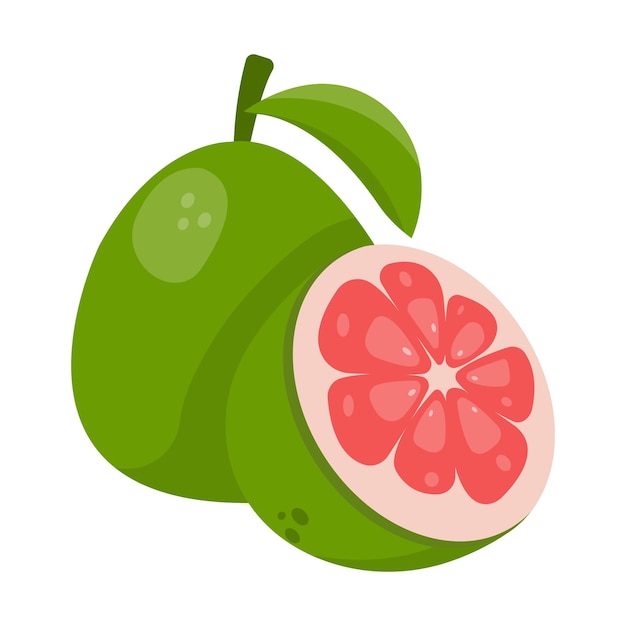 pamelo fruit cartoon illustration
