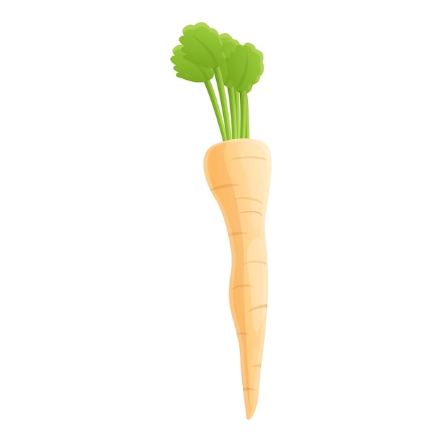 Parsnip root icon Cartoon of parsnip root vector icon for web design isolated on white background