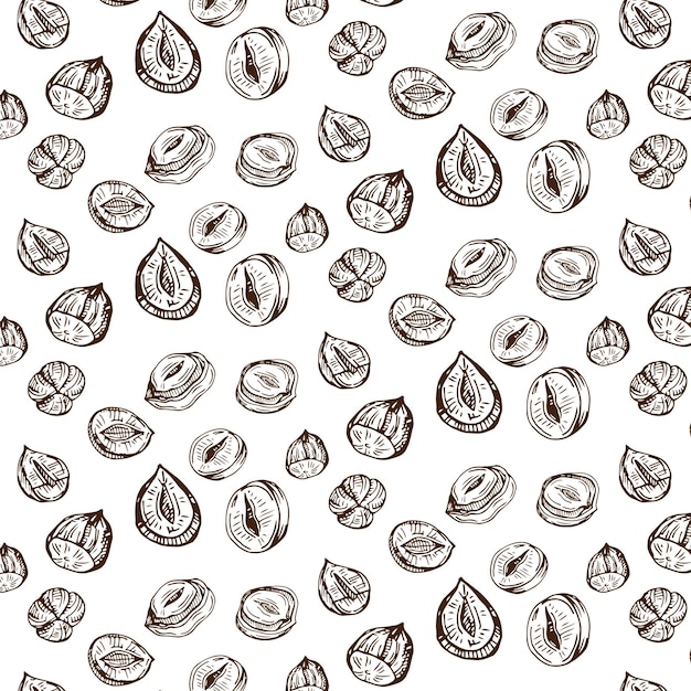 Pattern of vector illustrations on the nutrition theme. set of hazelnuts.