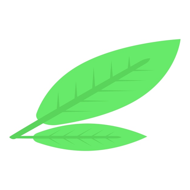 Peach leaf icon Isometric of peach leaf vector icon for web design isolated on white background