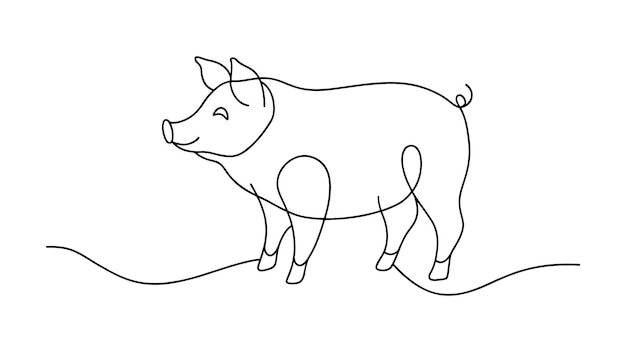 Pig continuous line art isolated on white background