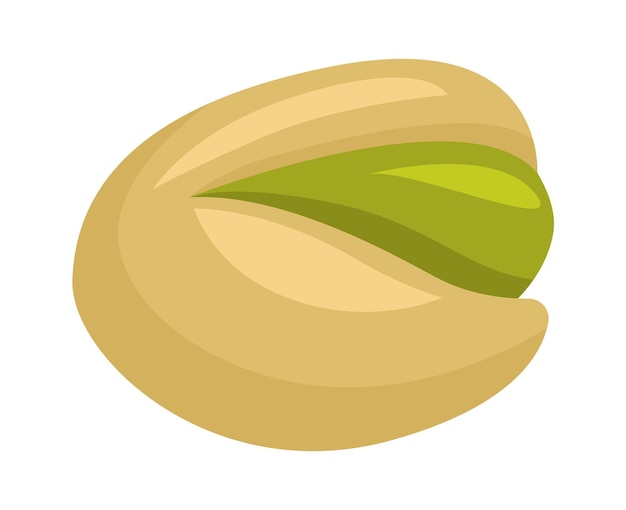 Pistachio nut Healthy Food Vector illustration
