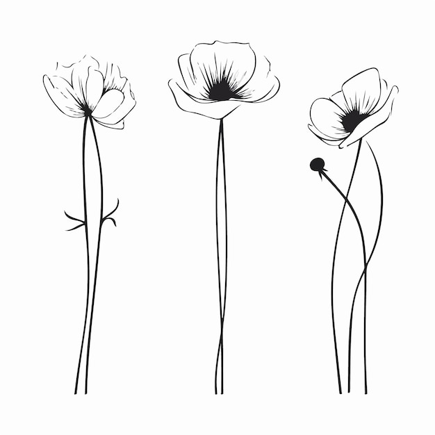 Playful anemone illustrations in vector format suitable for children's books