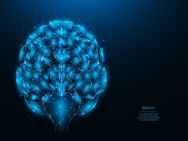 Polygonal vector illustration of a human brain on a dark blue background