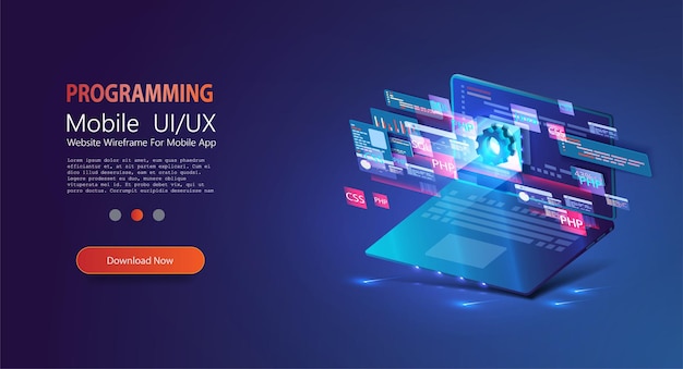 Programming and software development web page banner program code on screen device Software development coding process concept Programming testing cross platform code