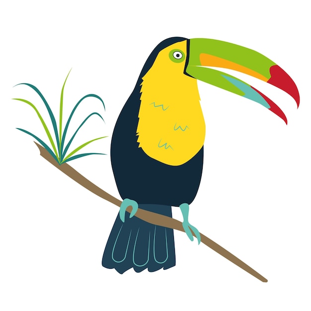 Rainbow toucan tropical bird Parrot Hand drawn illustration on white background