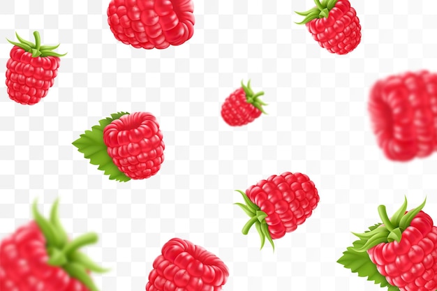 Raspberry background Flying raspberry with green leaf on transparent background Raspberry falling from different anglesFocused and blurry objects 3D realistic vector