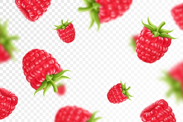 Raspberry background Flying raspberry with green leaf on transparent background Raspberry falling from different anglesFocused and blurry objects 3D realistic vector