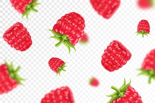 Raspberry background Flying raspberry with green leaf on transparent background Raspberry falling from different anglesFocused and blurry objects 3D realistic vector