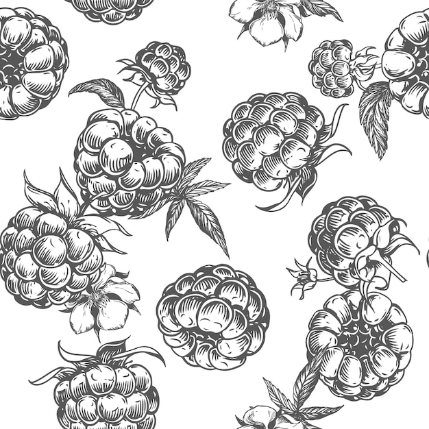 raspberry seamless pattern vector drawing isolated sketch of berries and leaves in engraving style