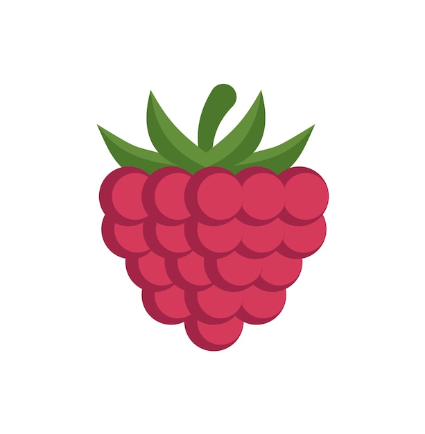 Raspberry vector icon isolated on white background, flat, cartoon style. For web design and print. eps 10