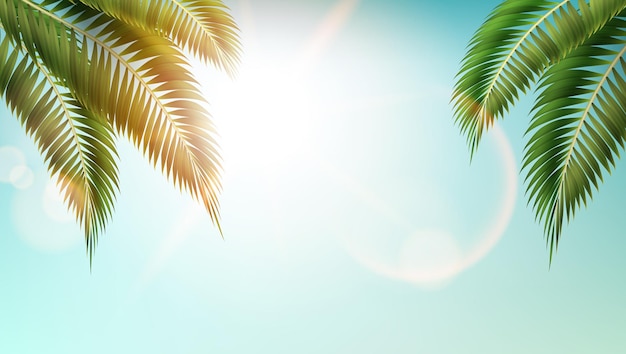 Realistic Nature Palm Leafes On Tropical Beach