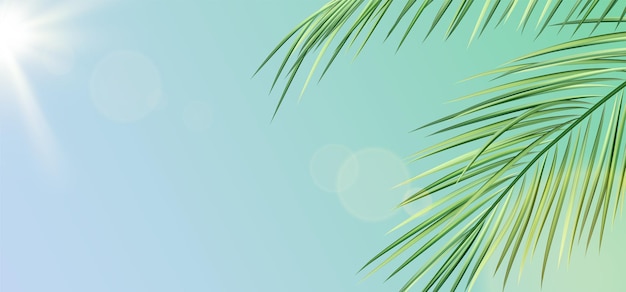 Realistic palm leaves against sky and sun Summer tropical illustration of green exotic palm tree
