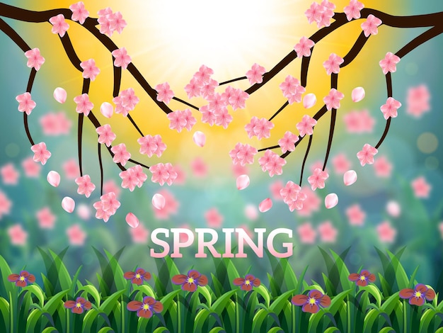 Realistic spring background design with flowers.