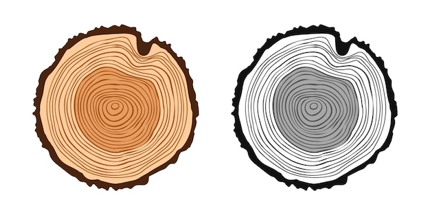 round tree trunk cuts in various colors sawn pine or oak slices lumber saw cut timber wood brown wooden texture with tree rings hand drawn sketch vector illustration
