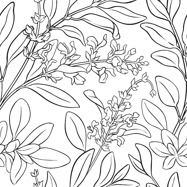Sage seamless pattern