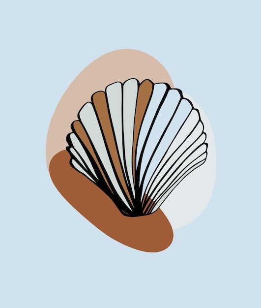 Seashell vectot illstration graphic design