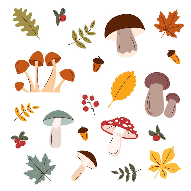 Set mushrooms and leaves