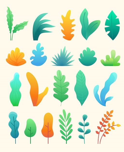 Set of abstract colorful leaves and trees in flat style