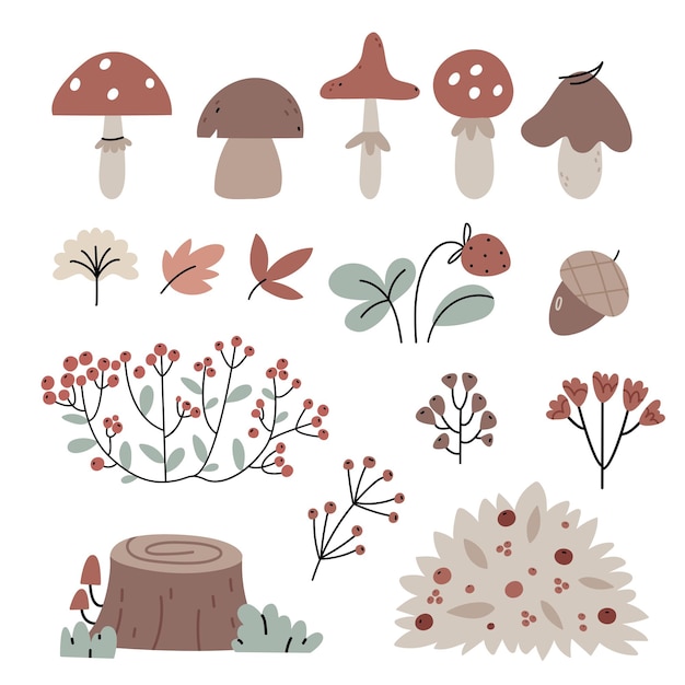 Set of autumn forest plantsWild mushrooms berries and bushes Autumn atmosphere