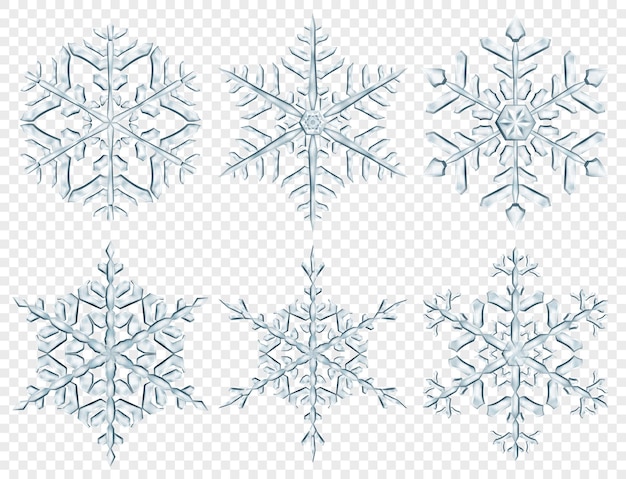Set of big complex translucent Christmas snowflakes in gray colors isolated on transparent background