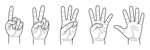 set of gestures fingers counting from one to five