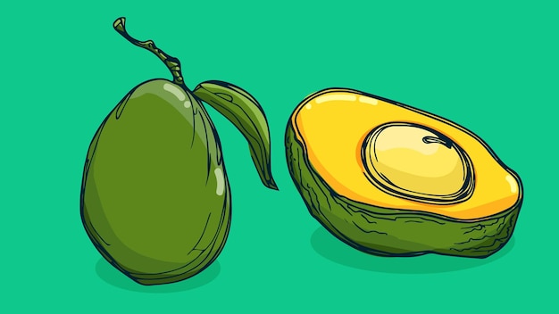 set of mango fruit vector illustration in one line sketch style flat hand drawn sketch colorful