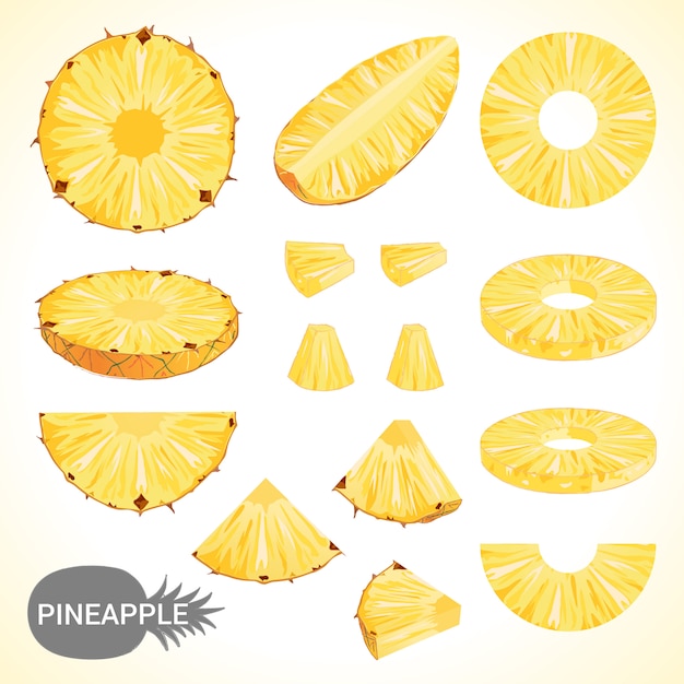 set of pineapple in various styles vector format