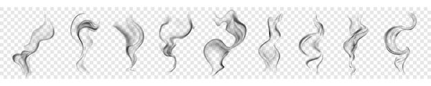 Set of several realistic transparent gray smokes or steam For use on light background Transparency only in vector format