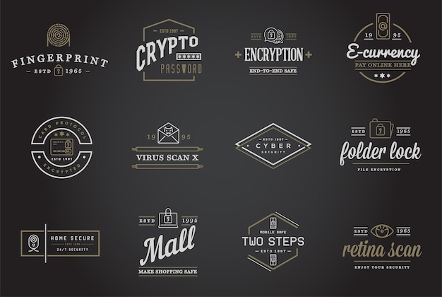 Set of Vector Cyber Security Identity Badges and Signs Can be used as Logotype