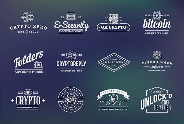 Set of Vector Cyber Security Identity Badges and Signs Can be used as Logotype