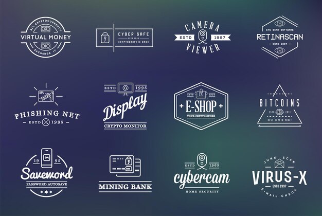 Set of Vector Cyber Security Identity Badges and Signs Can be used as Logotype