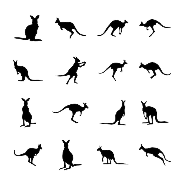 Set silhouettes of kangaroo different poses on white background Lies stands sits jumps Vector