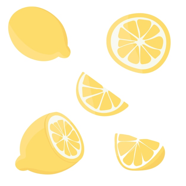 set with lemons citrus cutting into slices slices circles ripe fresh lemons on a tree branch