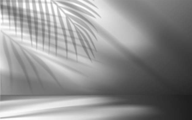 Shadows studio in realistic style