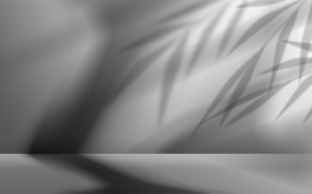 Shadows studio in realistic style