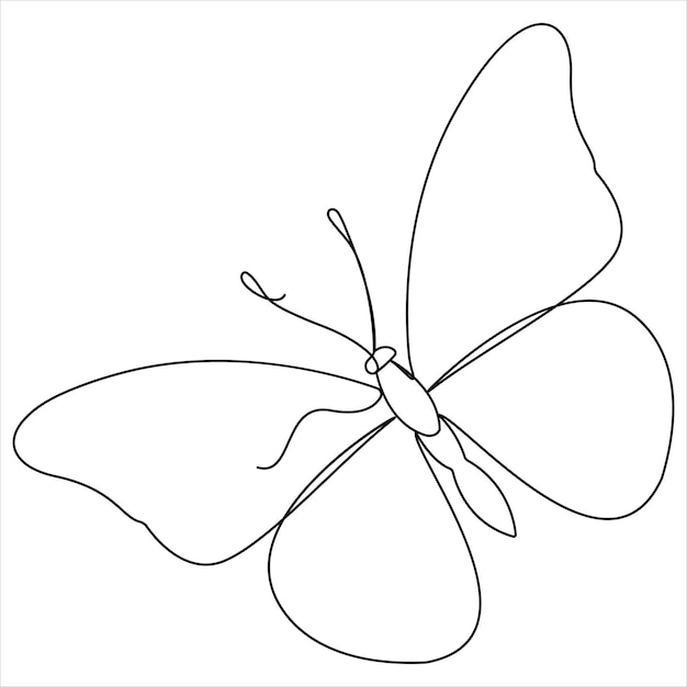 Simple butterfly continuous single line art drawing and butterfly line art vector illustration