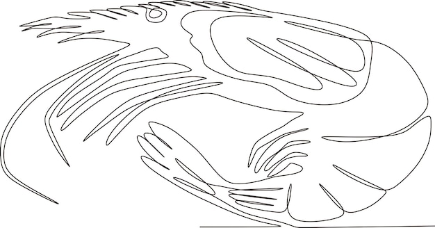 simple simple shrimp continuous line