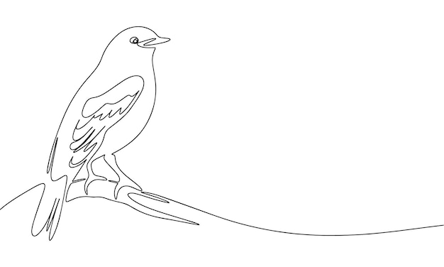 sitting bird continuous line drawing element isolated on white background for decorative element