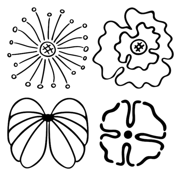 Sketch doodle outline flowers Hand drawn drawing of plant buds during flowering Petal silhouettes