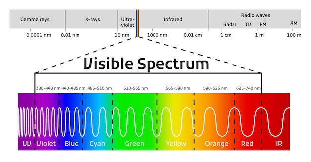 Spectrum wavelength visible spectrum color range educational physics light line light wave frequency