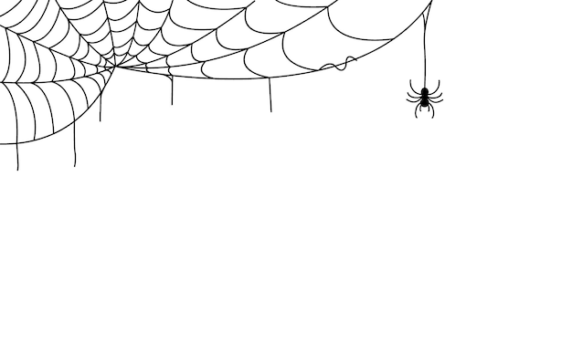 spider web background for halloween design