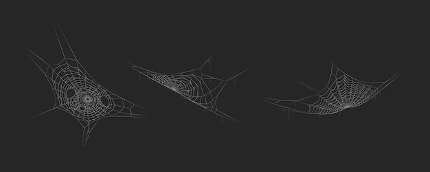 Spider webs handing in dark space realistic icons vector set
